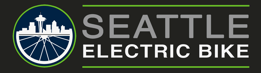 Seattle Electric Bike