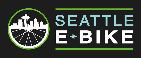 Seattle Electric Bike