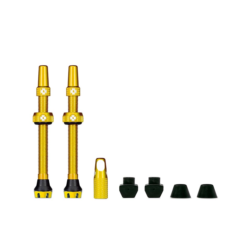 Muc-Off V2 Tubeless Valve Kit - Gold 60mm Pair – Seattle Electric Bike