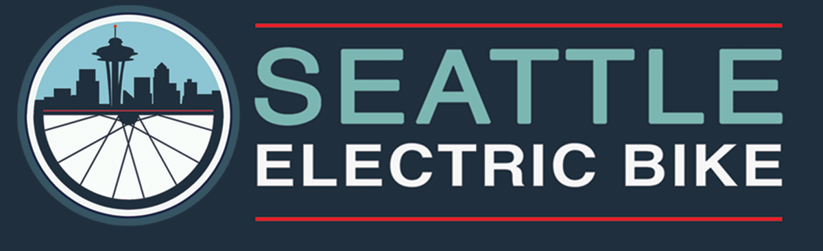 Fox Racing 25 Union BOA 45 BK Shoe – Seattle Electric Bike