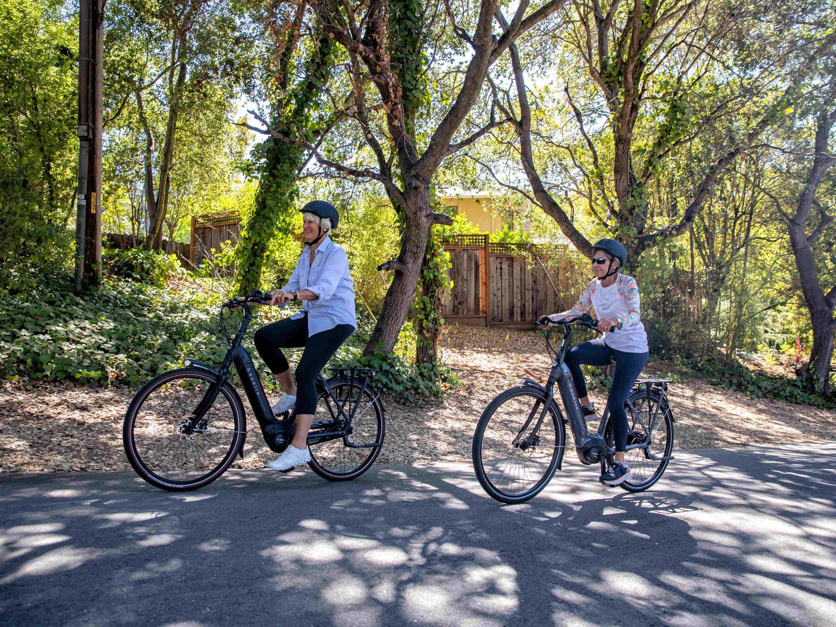 Gazelle Arroyo C8 Elite – Seattle Electric Bike