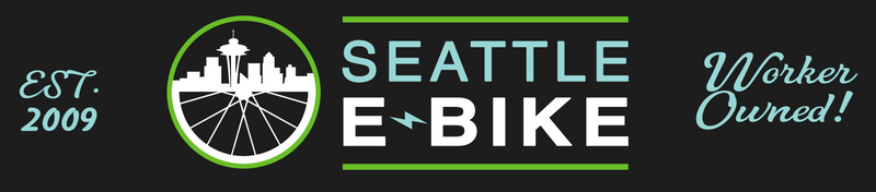 Seattle Electric Bike